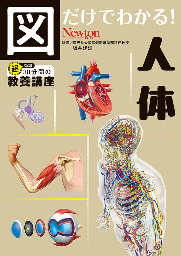 図だけでわかる！ 人体
